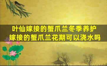 叶仙嫁接的蟹爪兰冬季养护 嫁接的蟹爪兰花期可以浇水吗